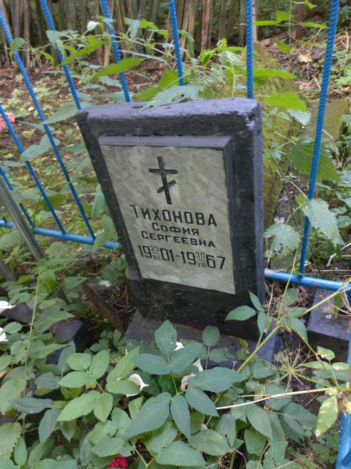 Тихонова София Сергеевна