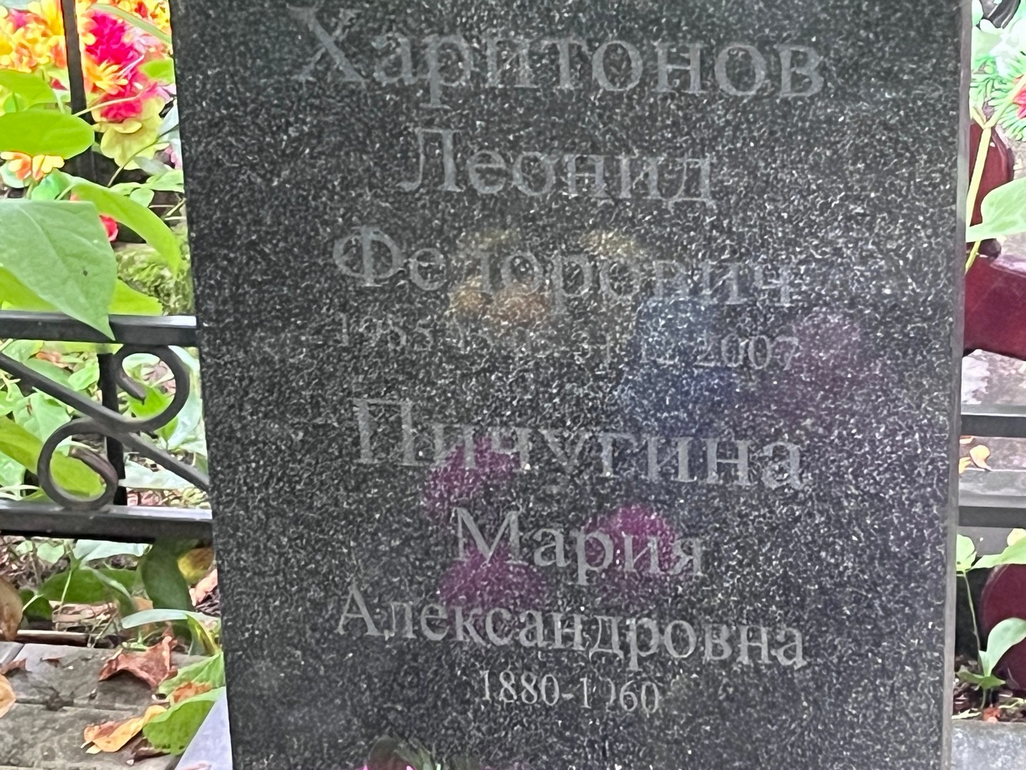 Пичугина