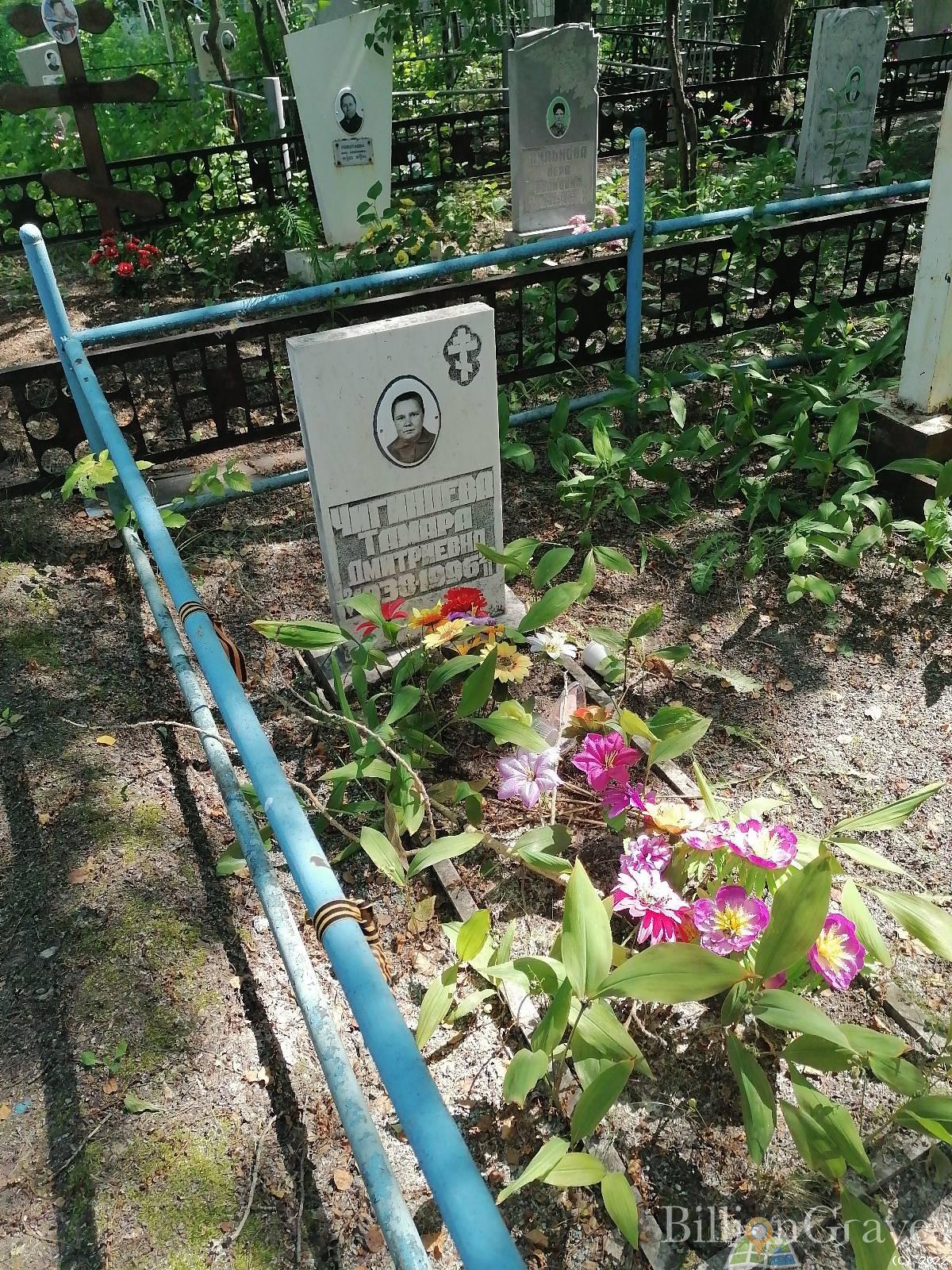 Чигинцева Тамара Дмитриевна
