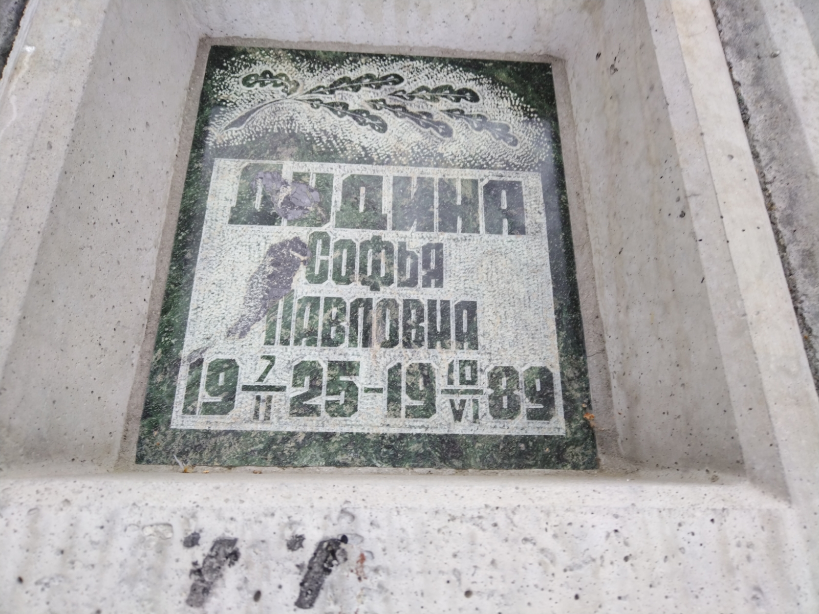 Дудина Софья Павловна