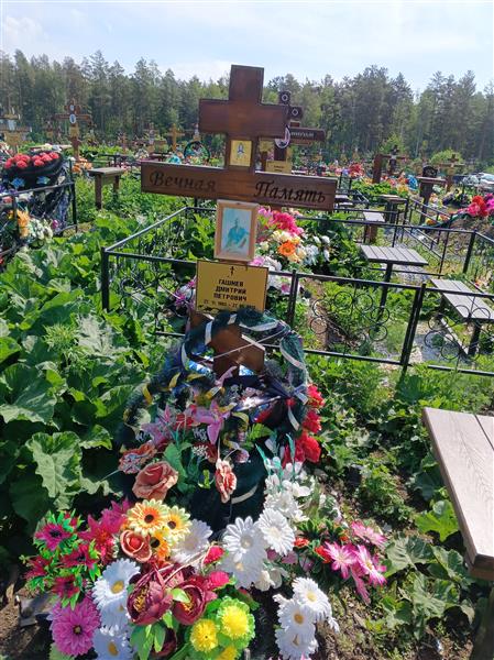 Гашнев Дмитрий Петрович