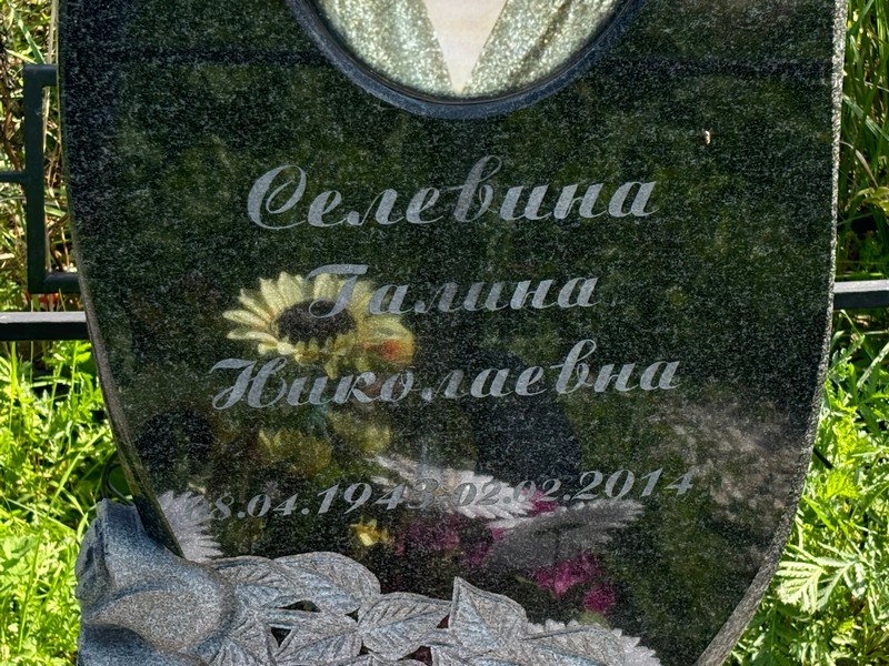 Селевина