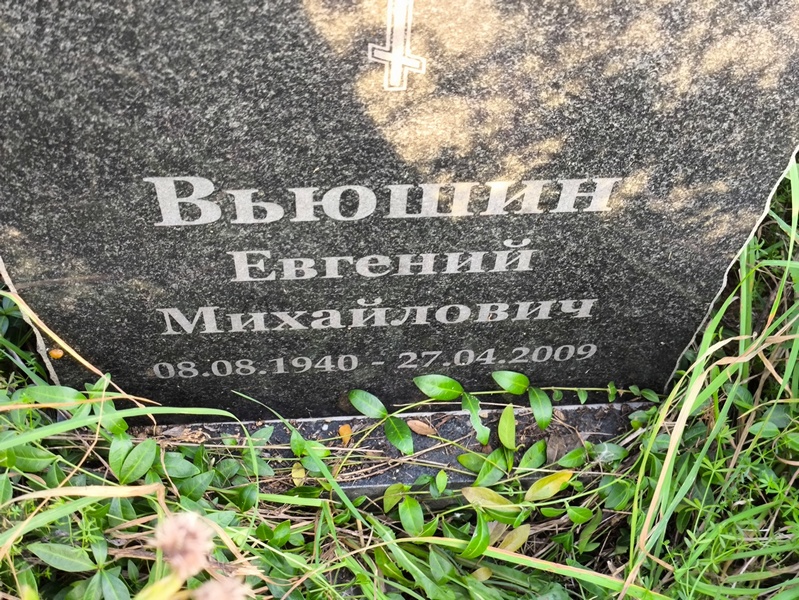 Вьюшин