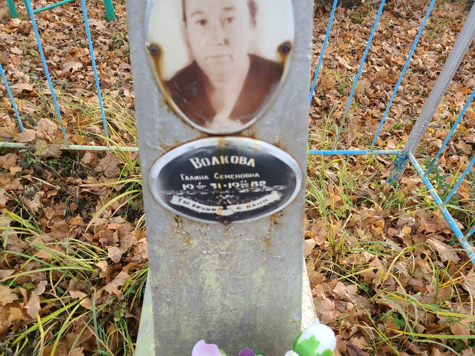 Волкова Галина Семеновна