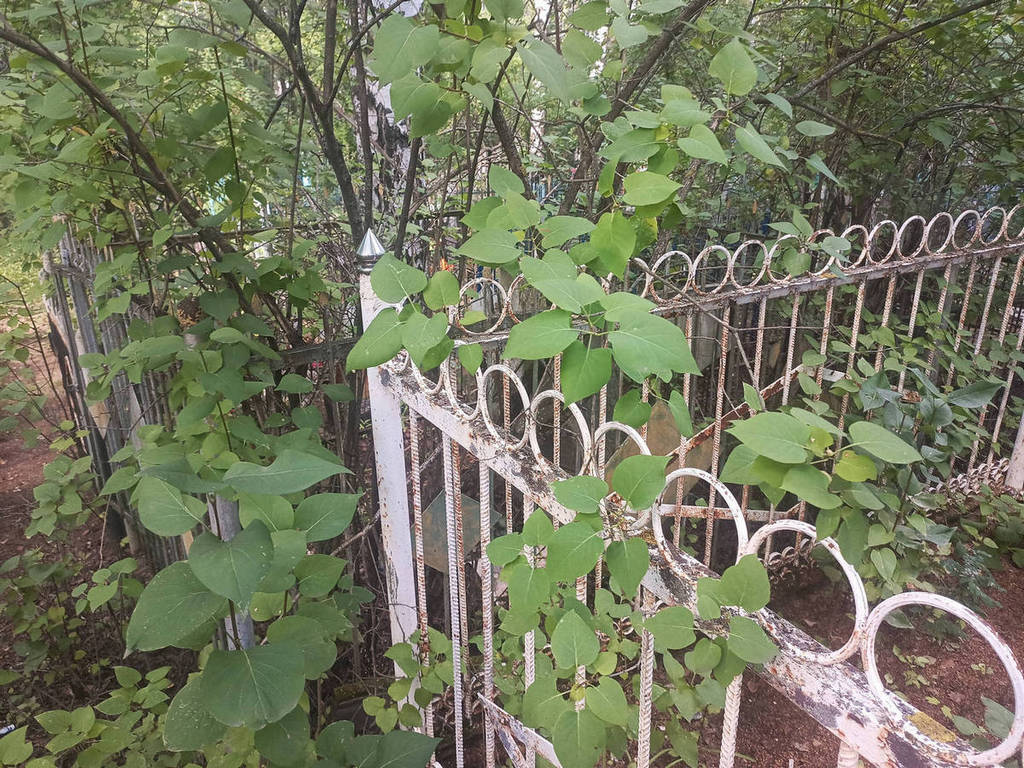 Севастьянова Анна Васильевна