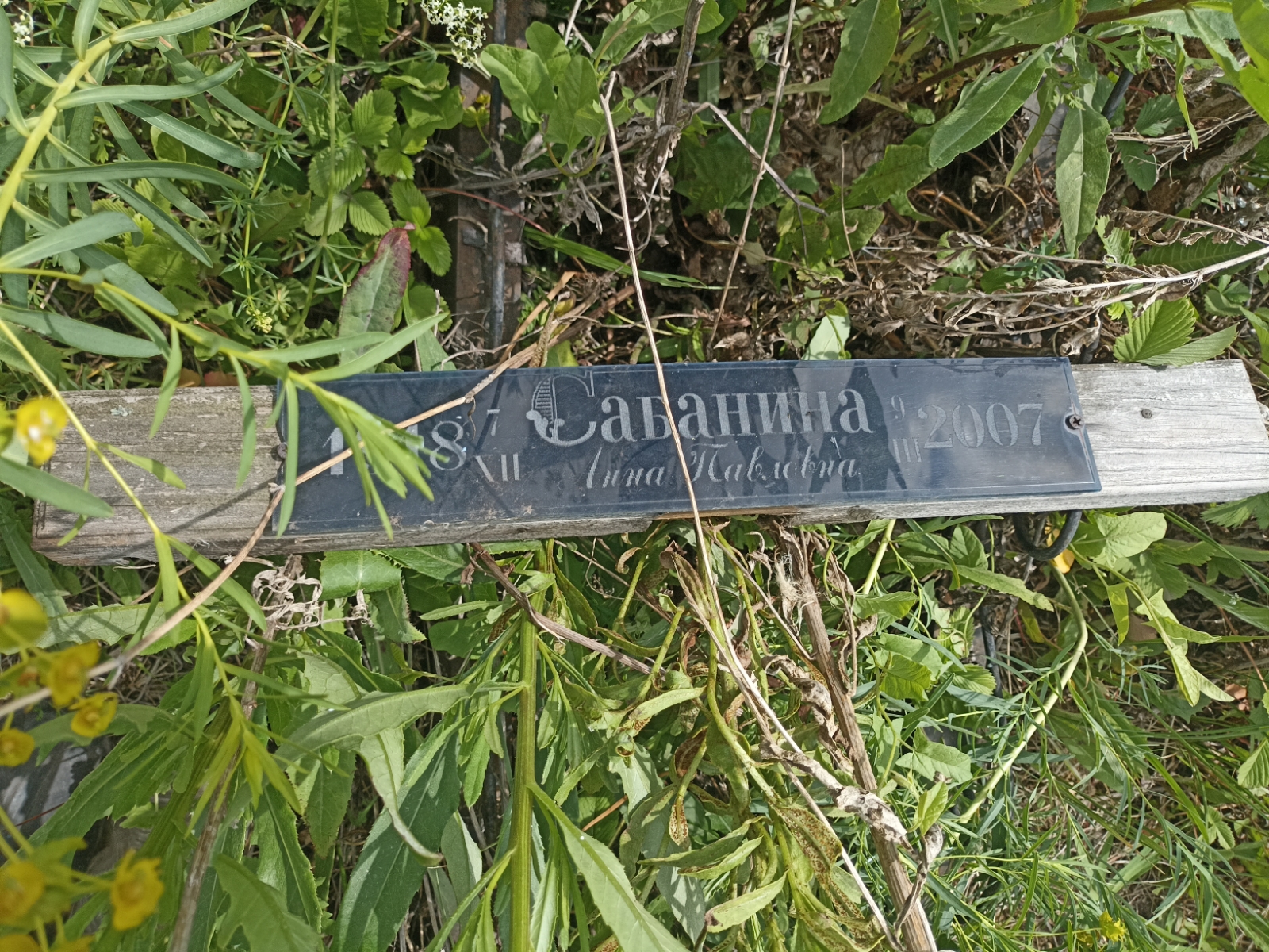 Сабанина Анна Павловна