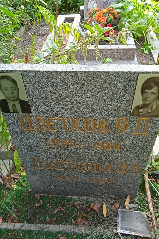 Цветкова В. А.