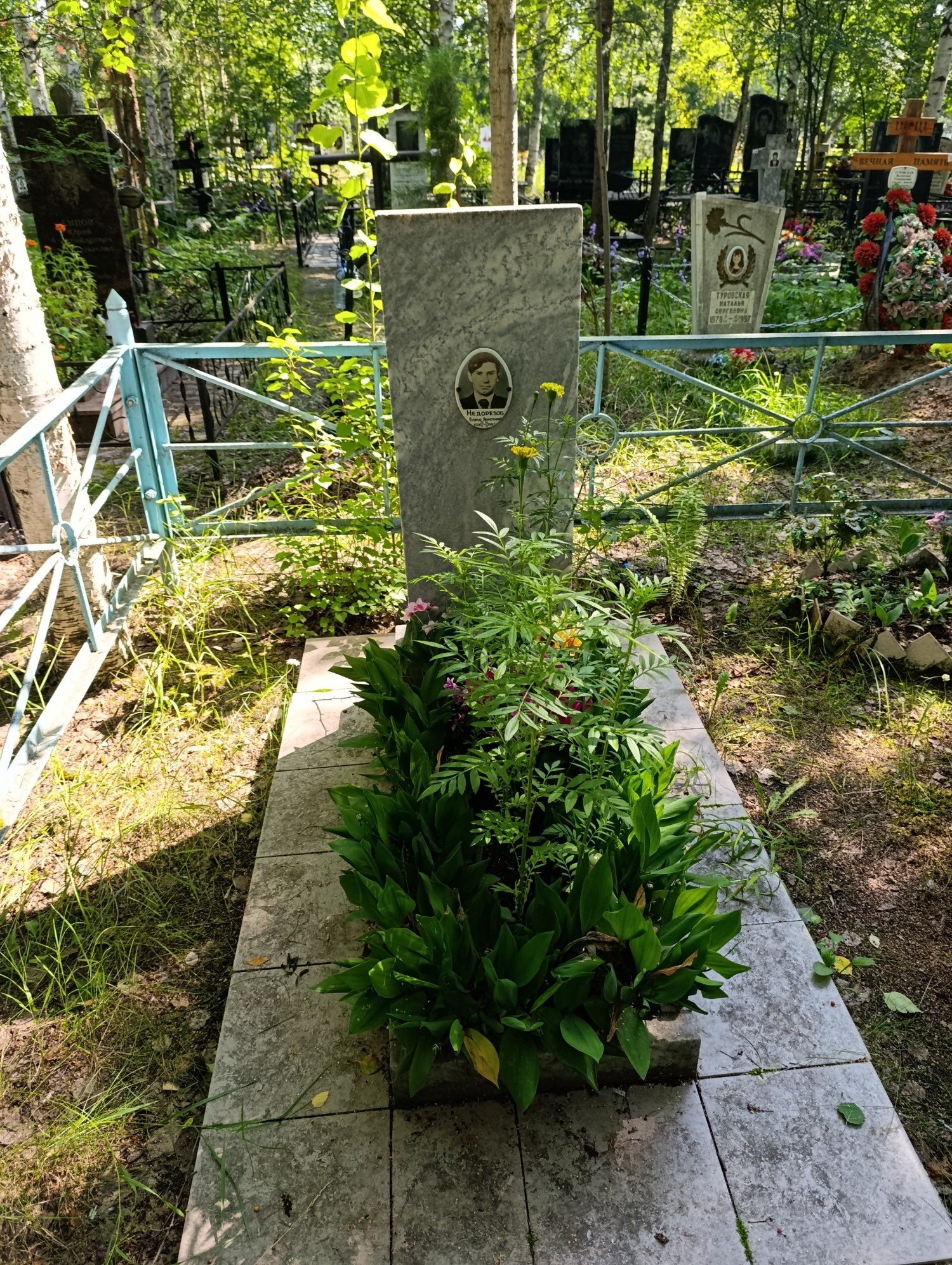 Недорезов Борис Афиногенович