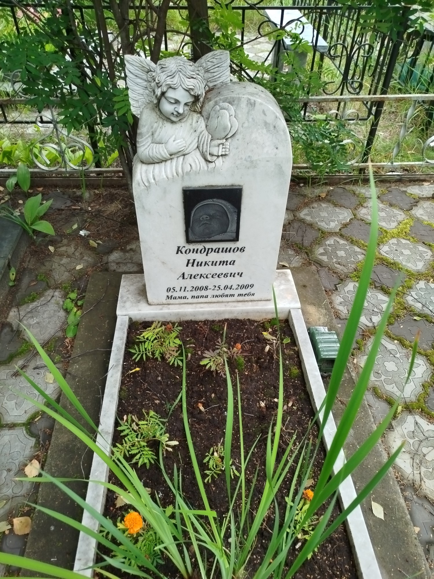 Кондрашов Никита Алексеевич