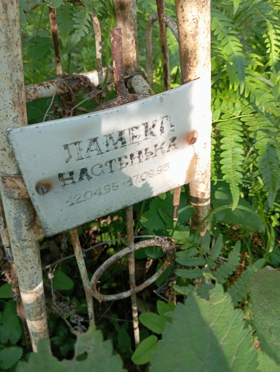 Ламека Настенька
