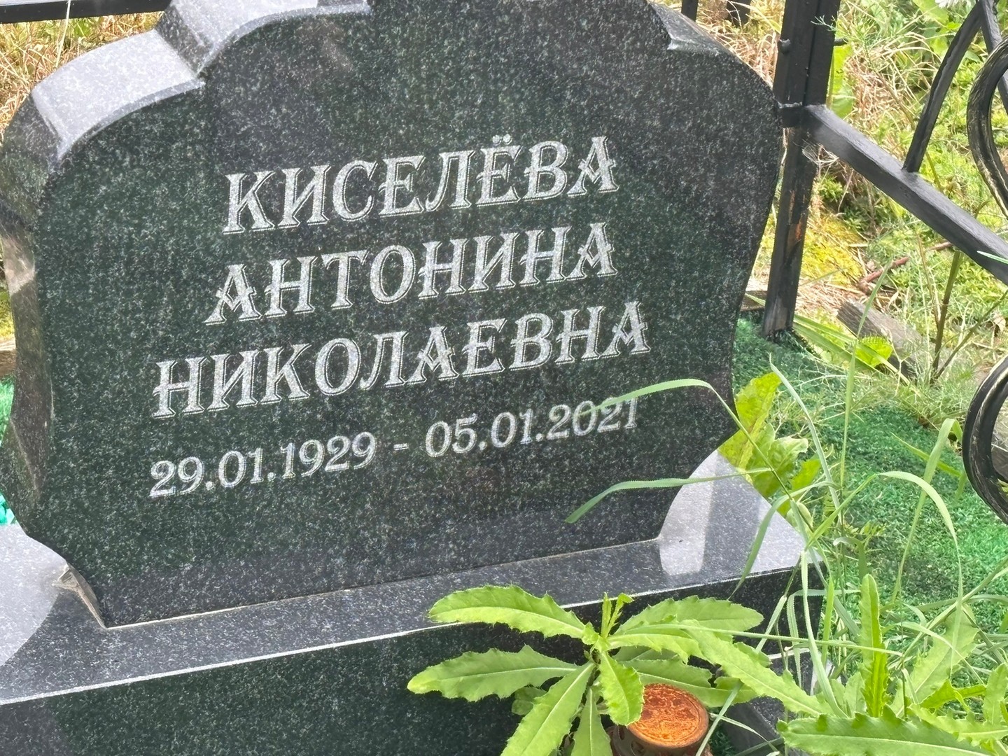 Киселева Антонина Николаевна