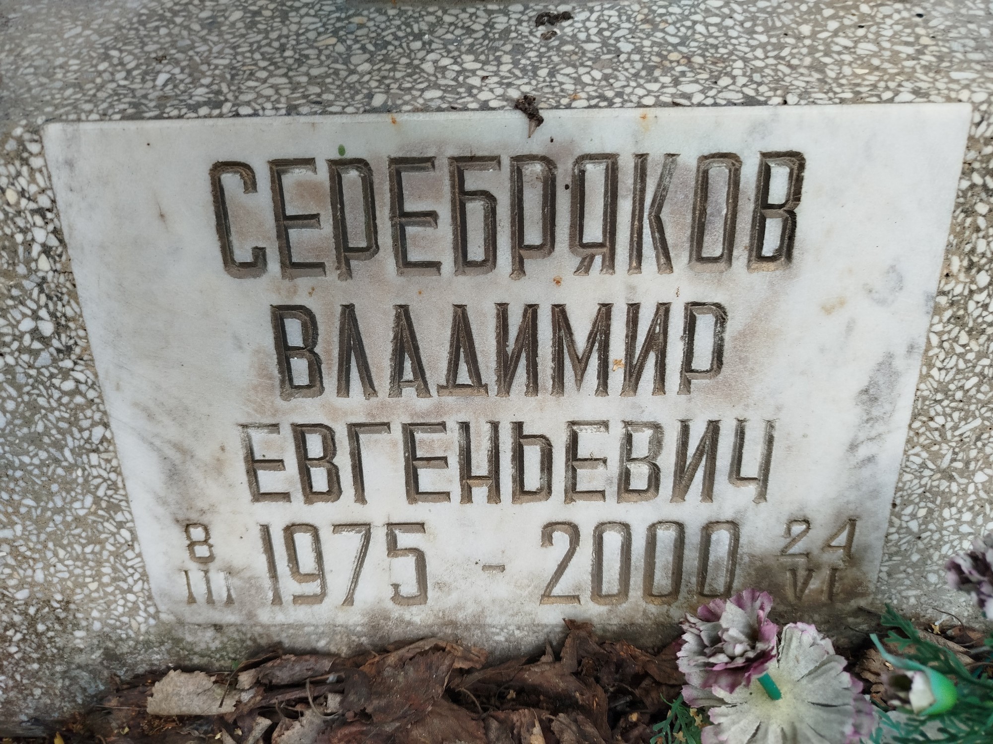 Серебряков Владимир Евгеньевич
