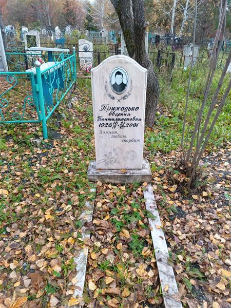 Приходько Евгения Пантилимоновна