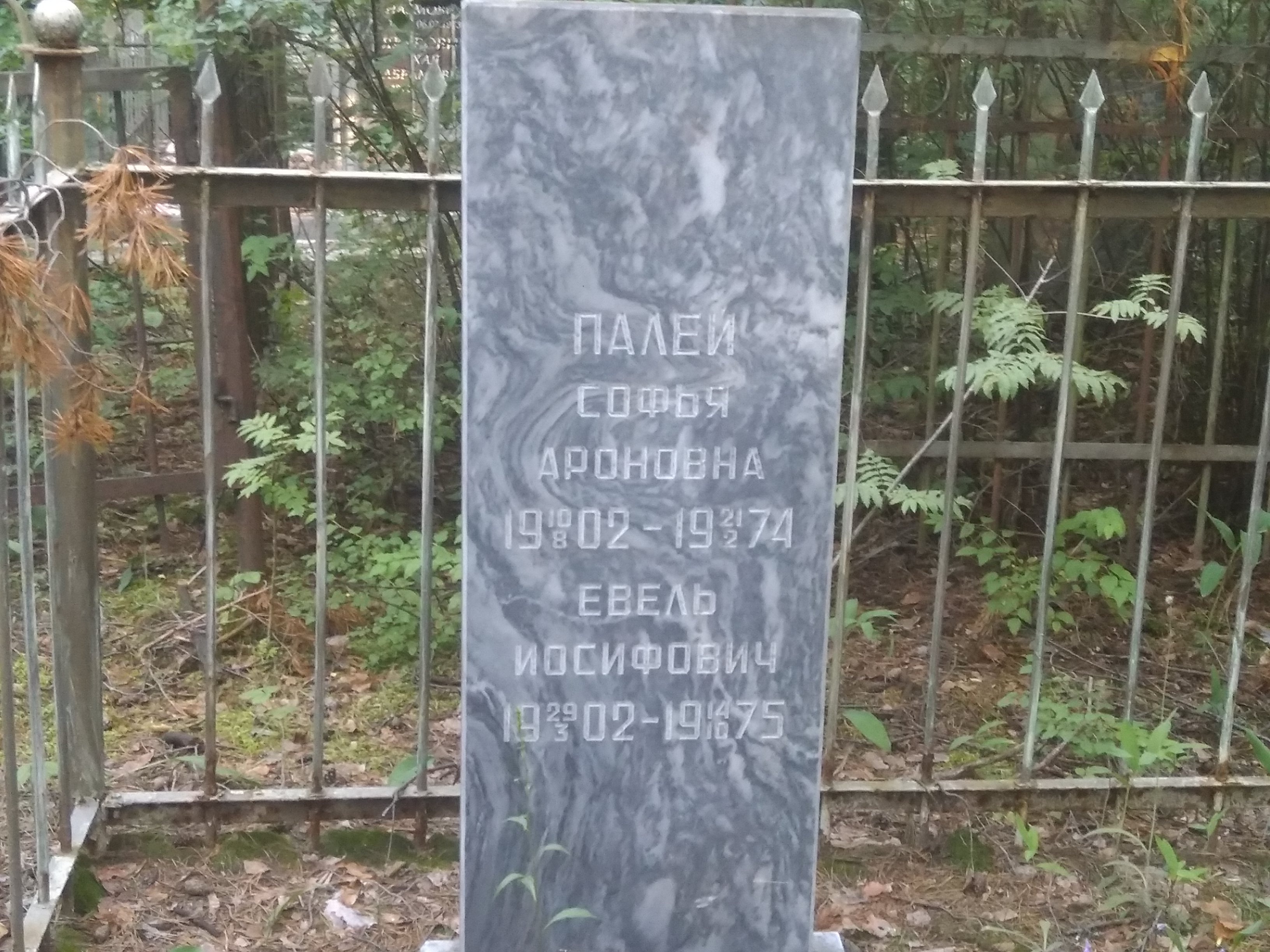 Палей Евель Иосифович