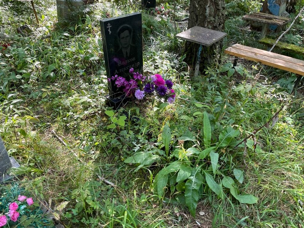 Волков Александр Иванович