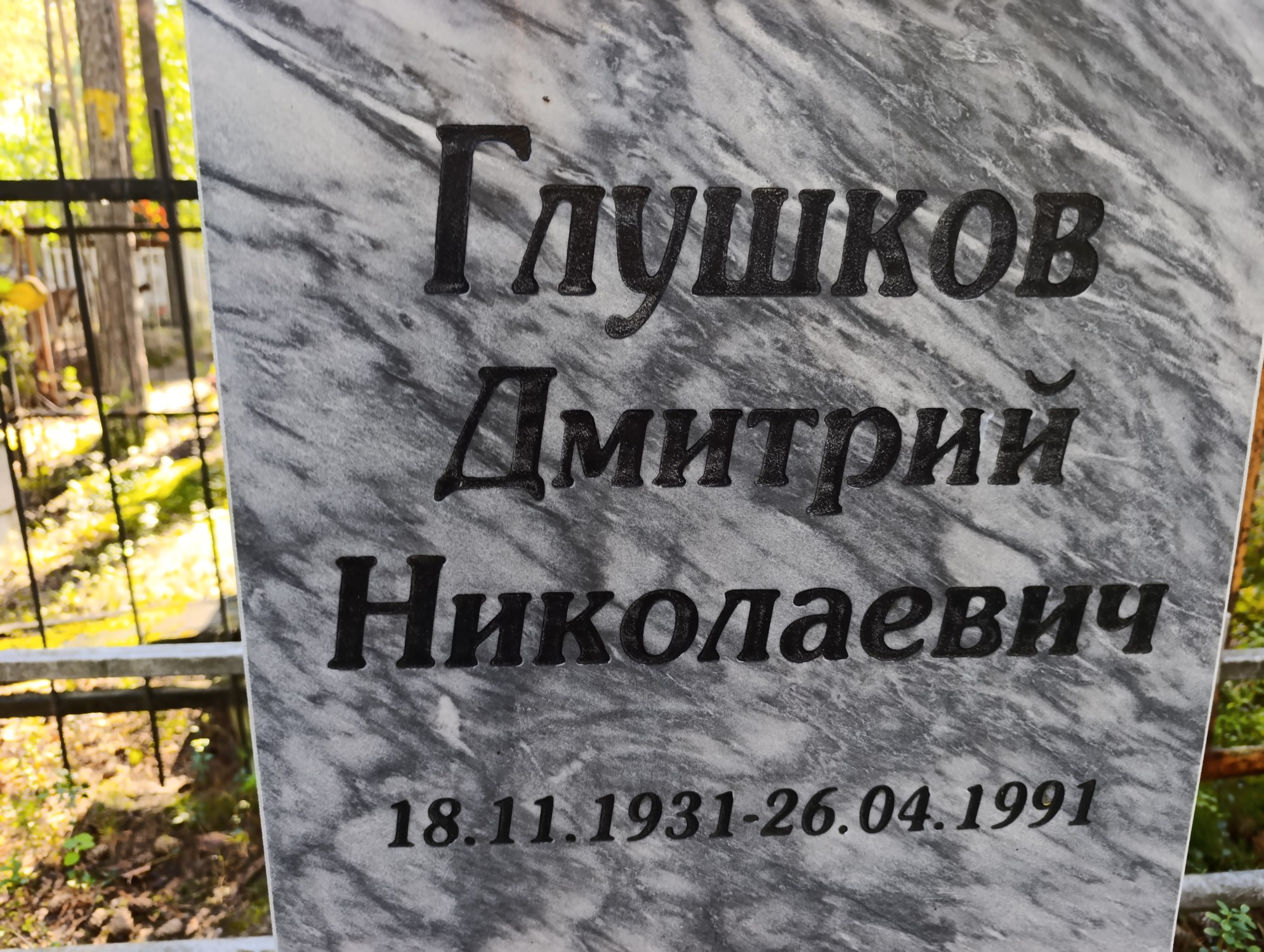Глушков Дмитрий Николаевич