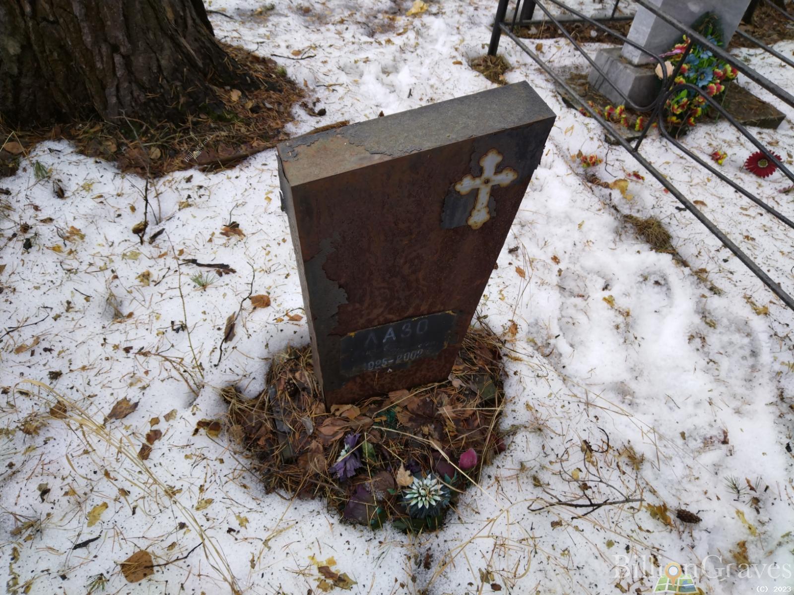 Лазо Елизавета Николаевна