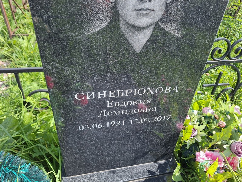 Синебрюхова