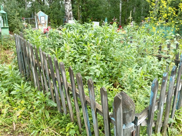 Лешукова Таисия Георгиевна