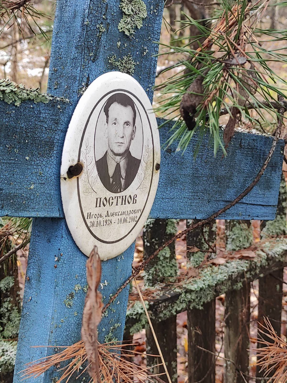 Постнов Игорь Александрович