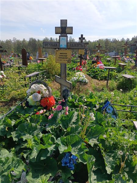 Николаев Александр Геннадьевич