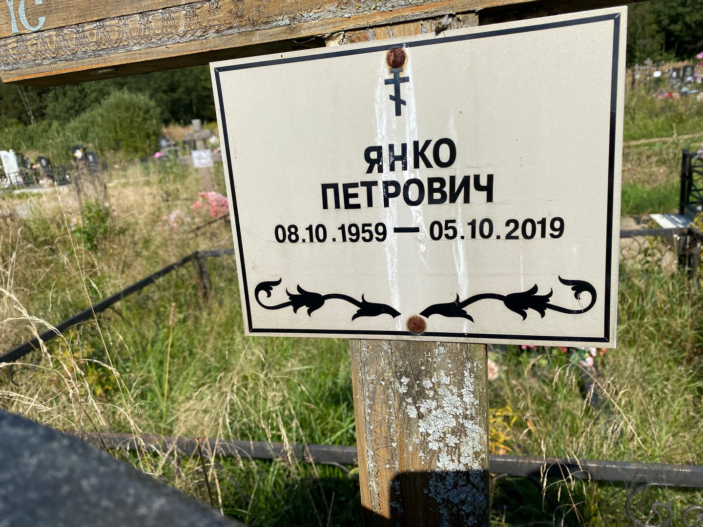 Янко Петрович