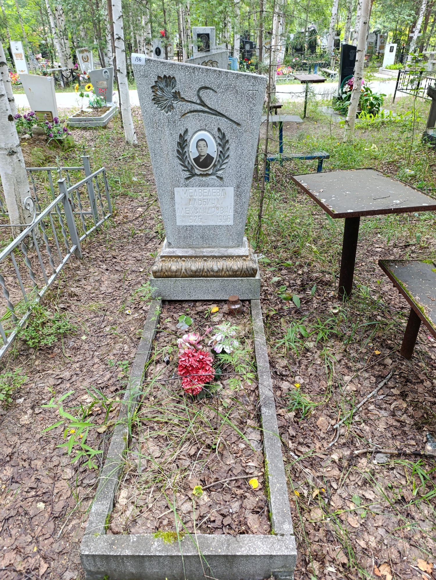 Медведева Альбина Александровна