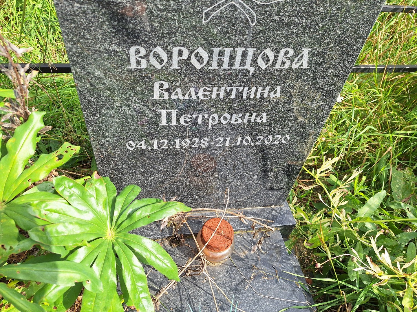 Воронцова