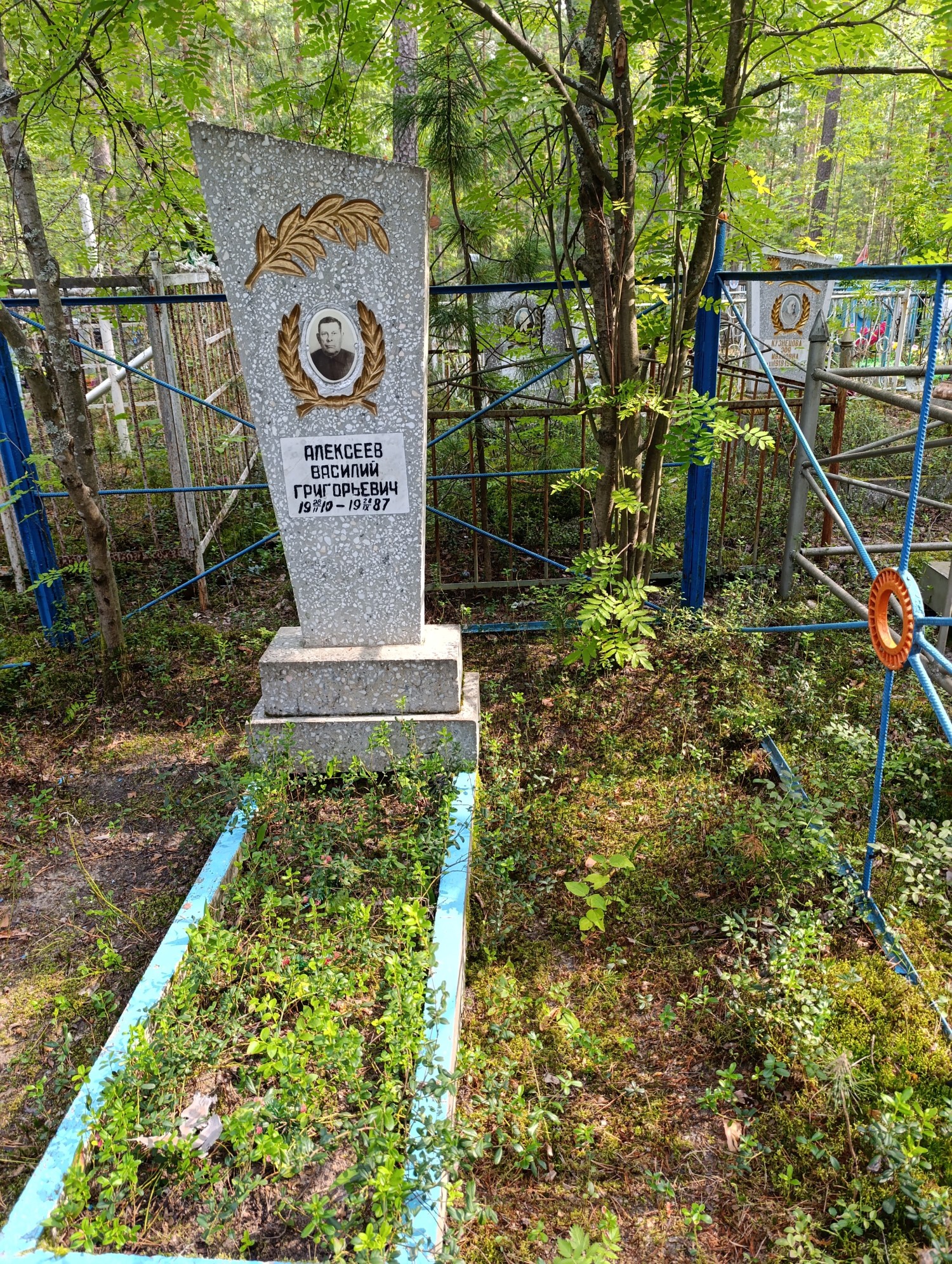 Алексеев Василий Григорьевич