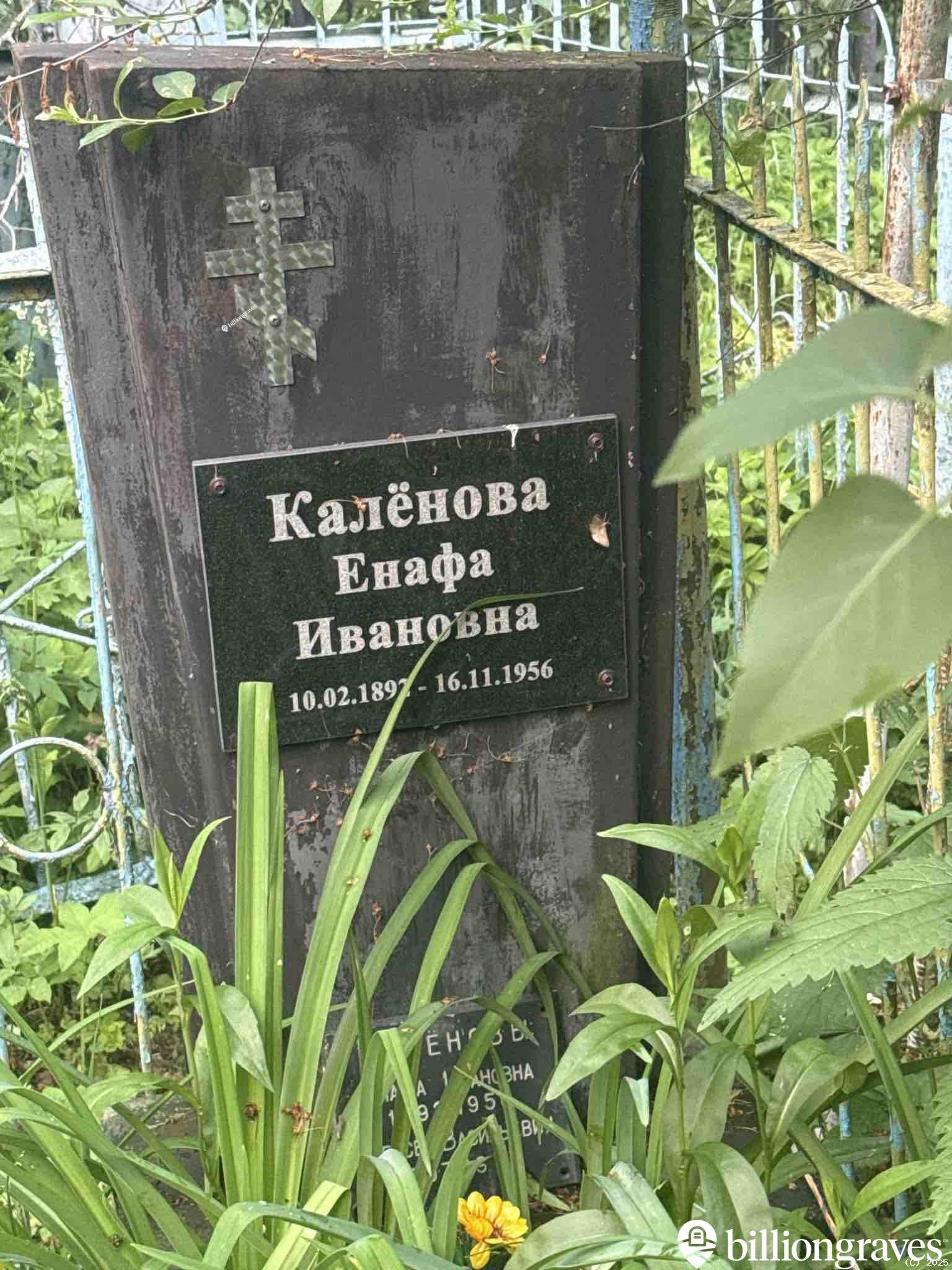 Калёнова Енафа Ивановна