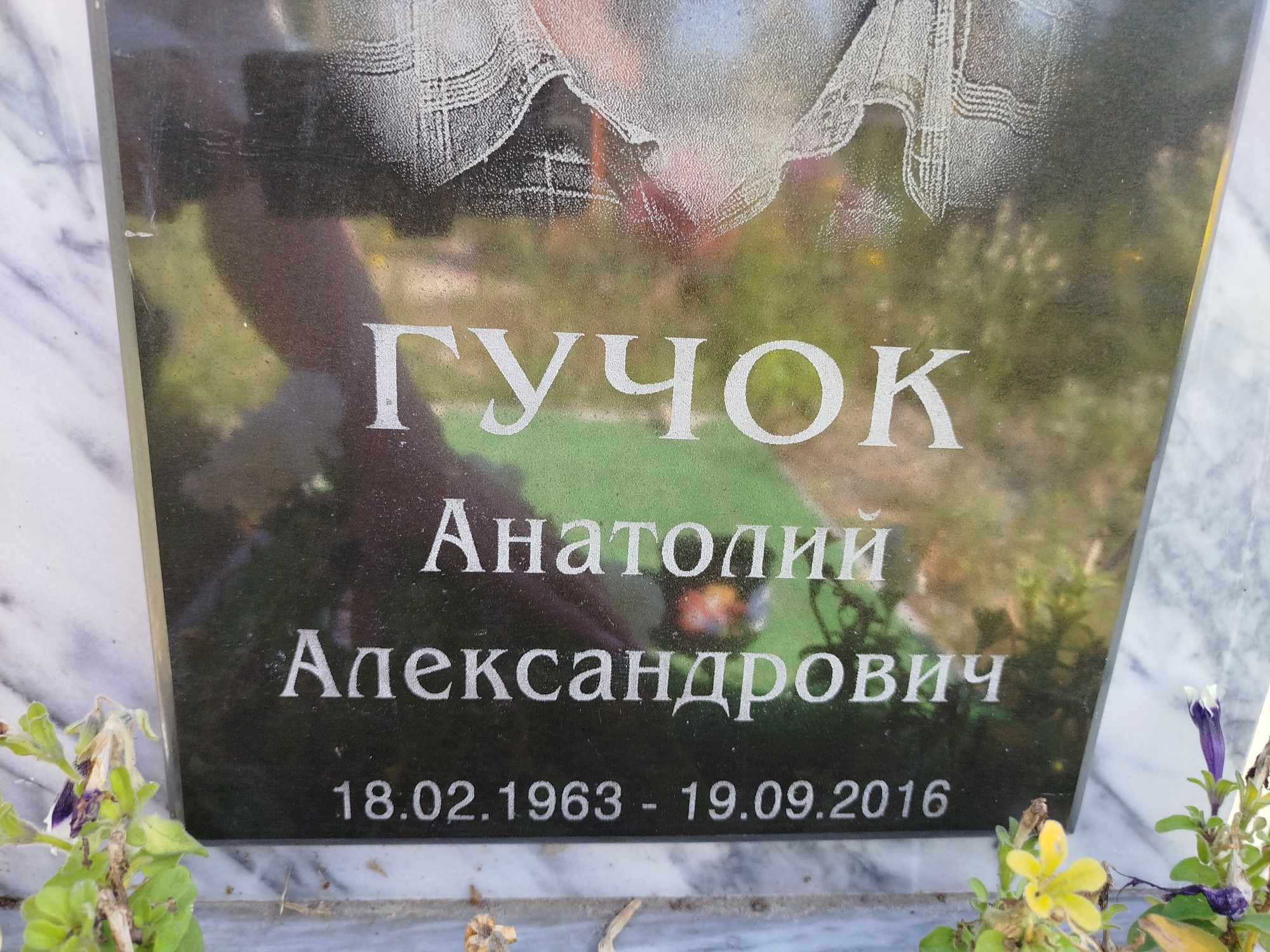 Гучок Анатолий Александрович