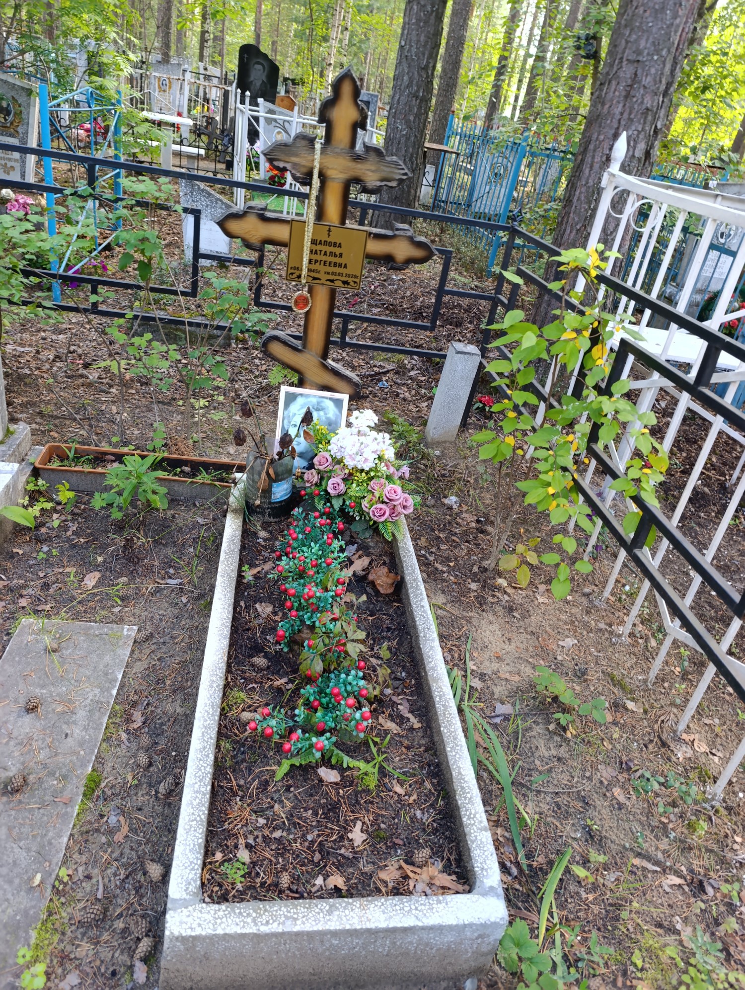 Щапова Наталья Сергеевна