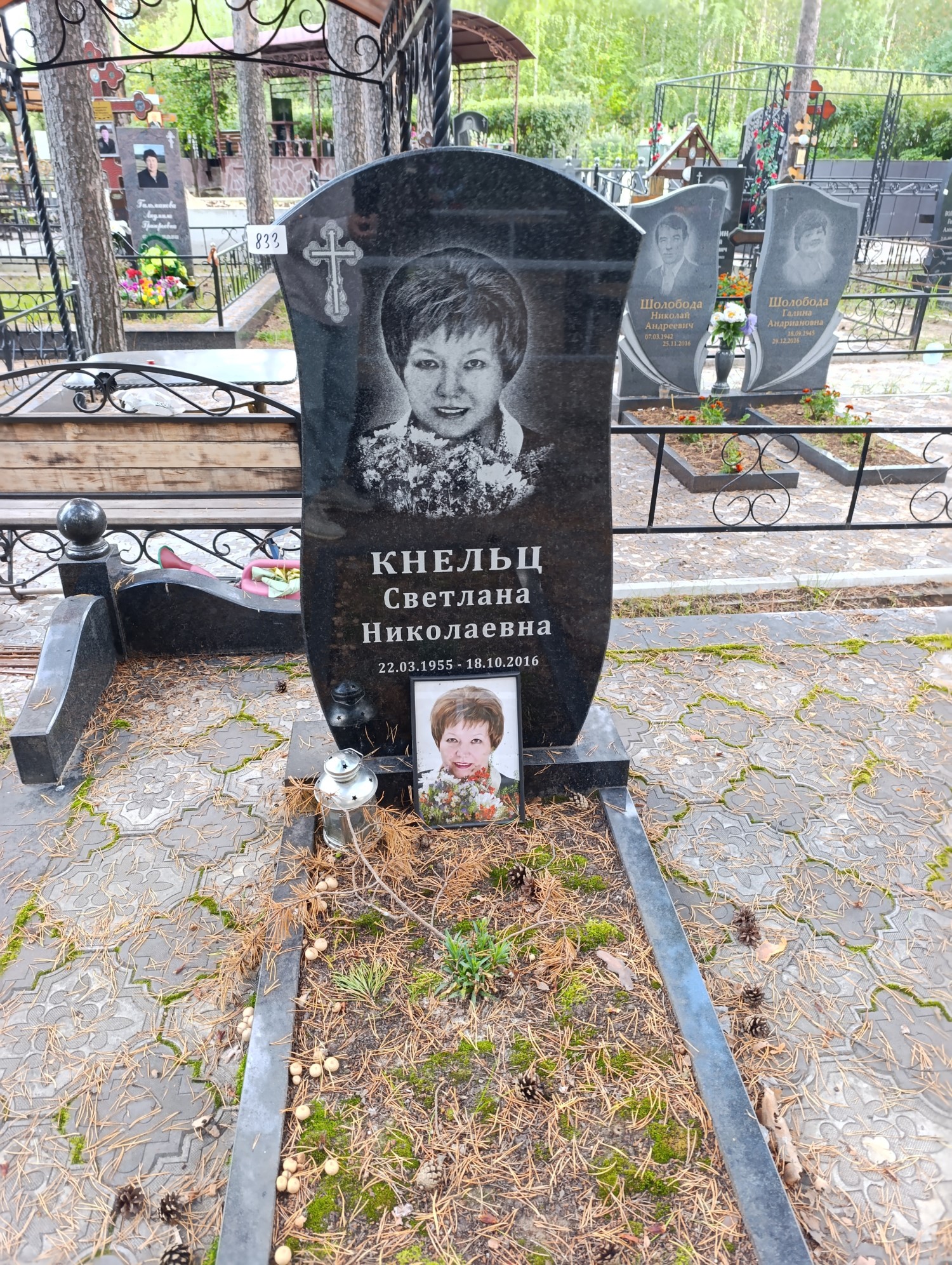 Кнельц Светлана Николаевна