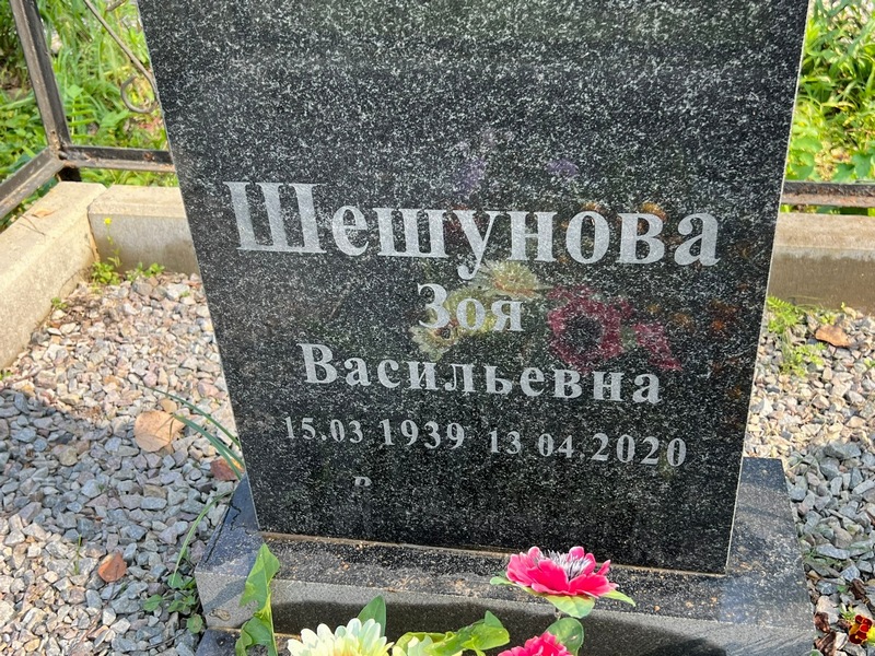 Шешунова