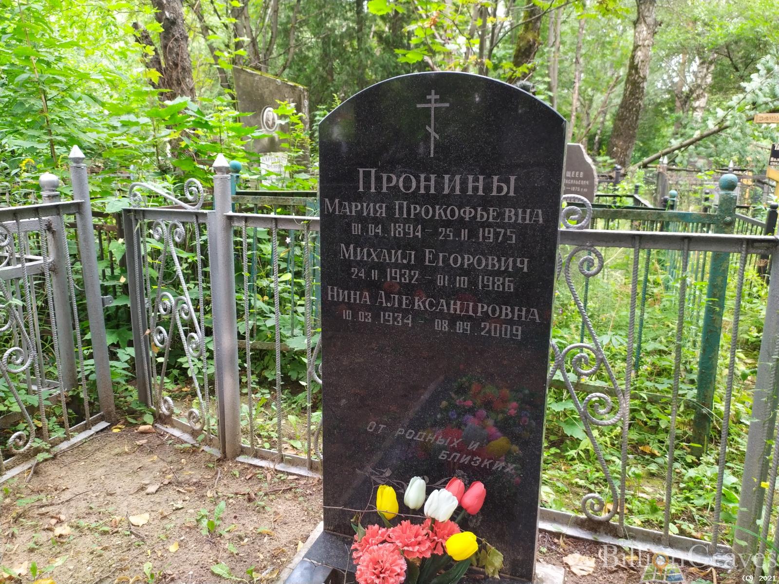 Пронин Михаил Егорович