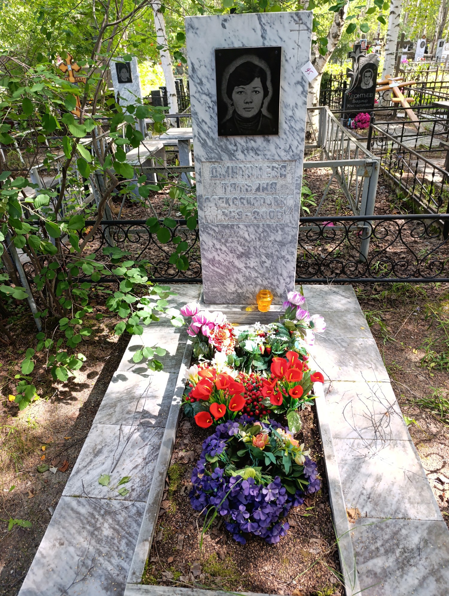 Дмитриева Татьяна Александровна