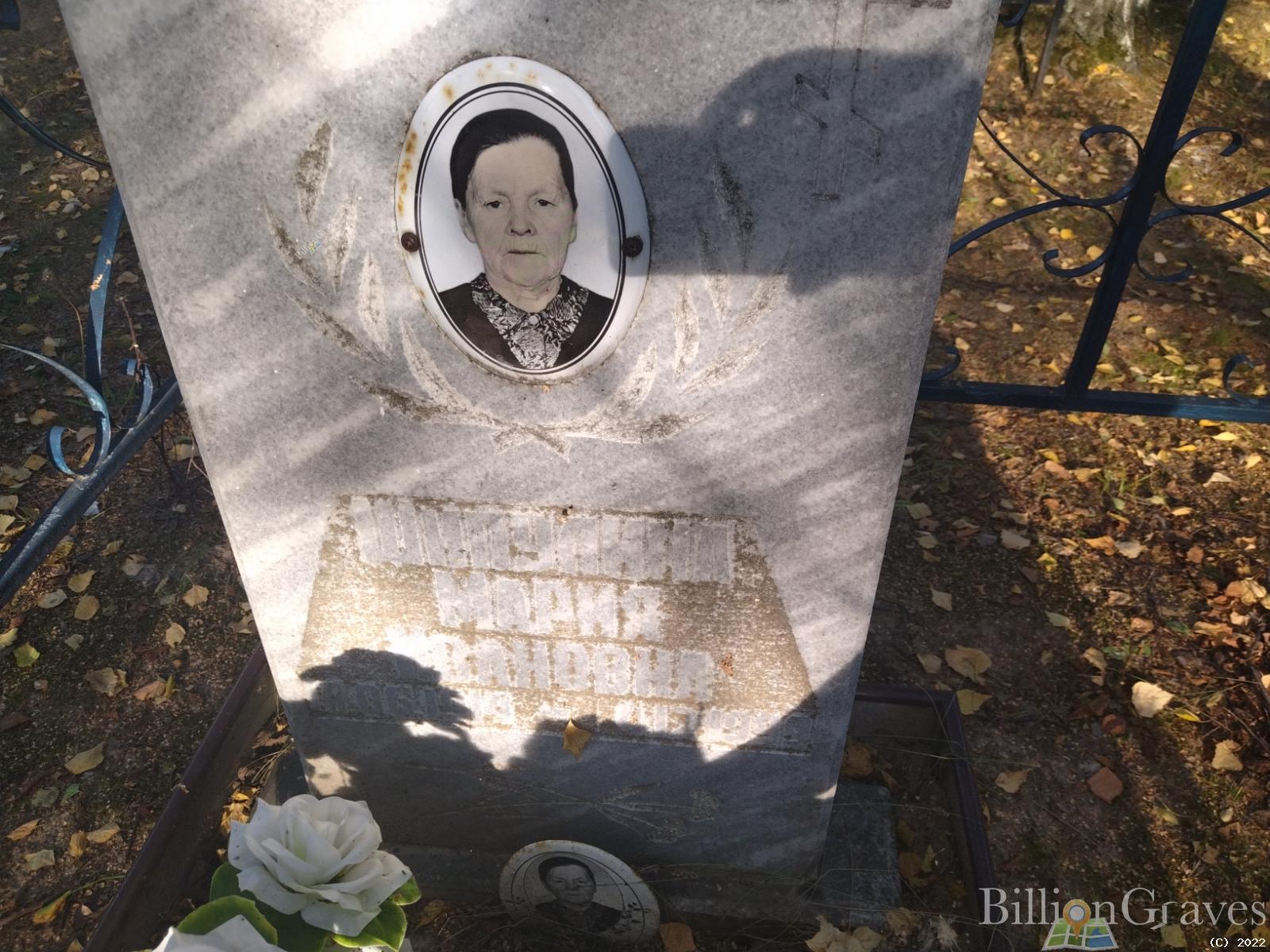 Шипулина Мария Ивановна