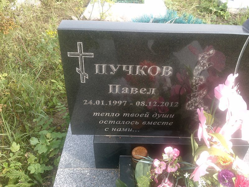 Пучков Пучков