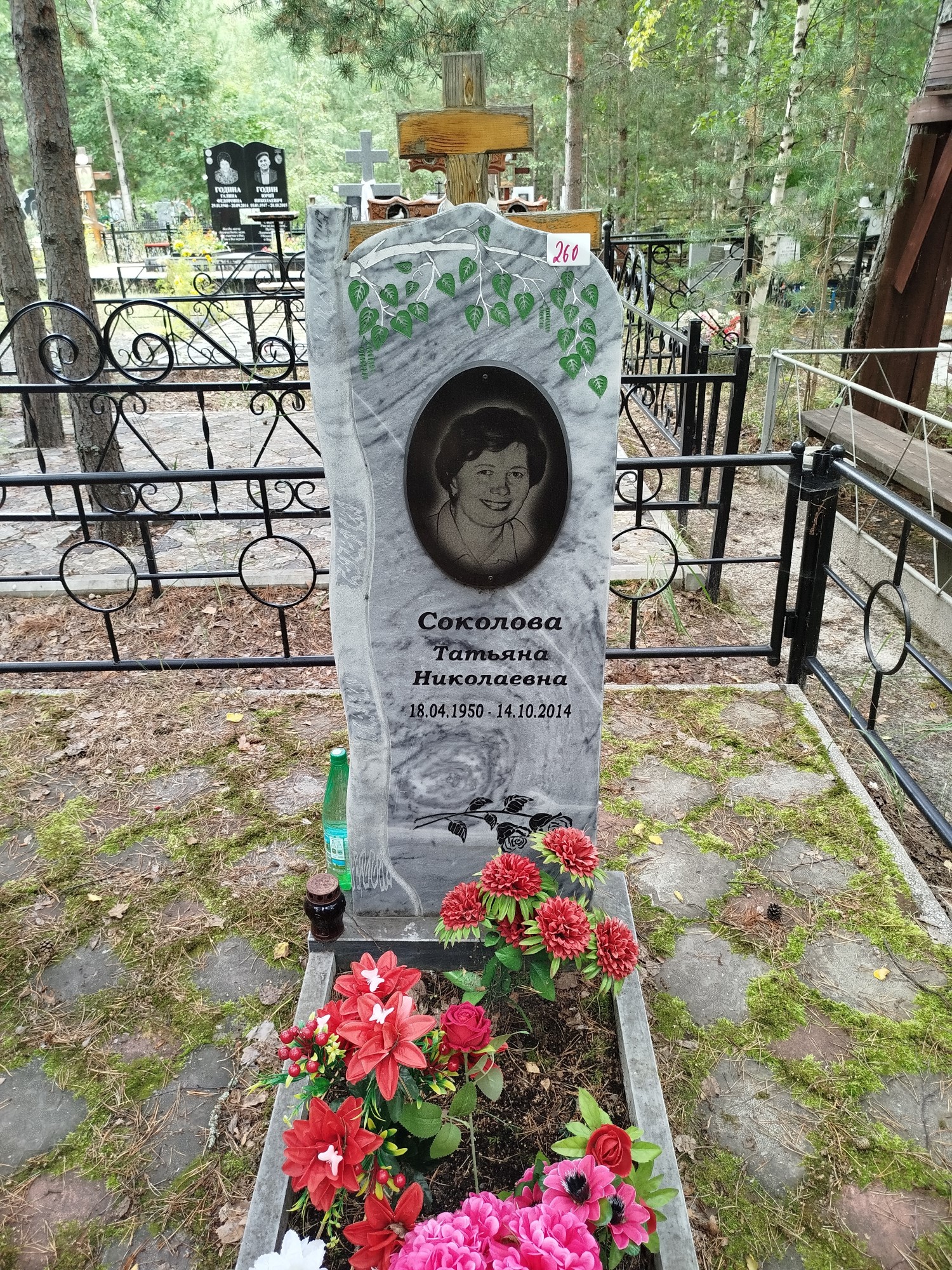 Соколова Татьяна Николаевна