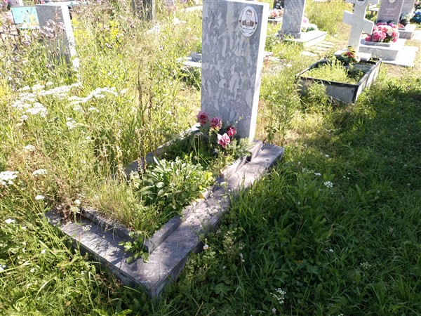 Волков Денис Владимирович