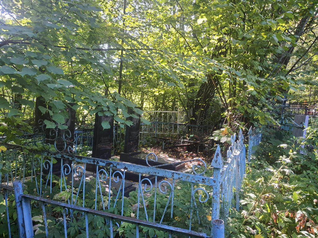 Полевая Эльвира Николаевна