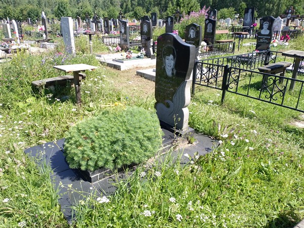 Киселёва Рашида Каримовна