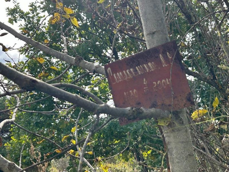 А. Солодовникова Н.