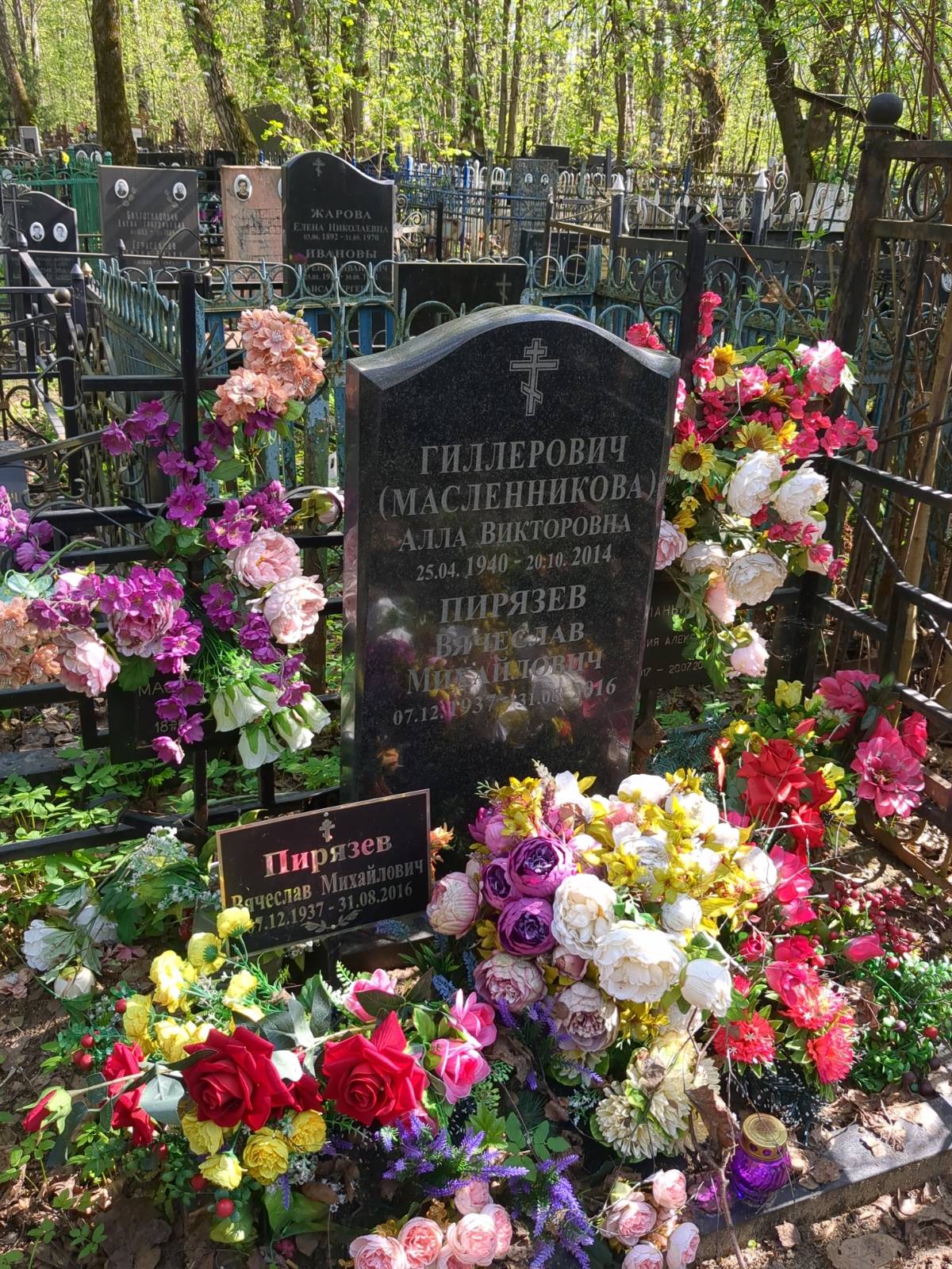 Гиллерович Алла Викторовна