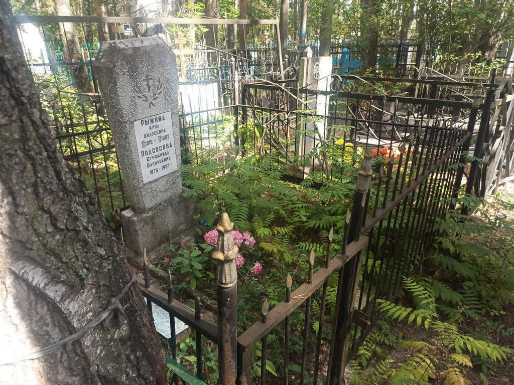 Рыжова Анна Андреевна