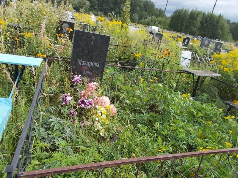 Макарова Анна Кирилловна