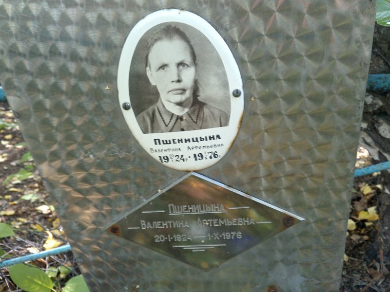 Пшеницына