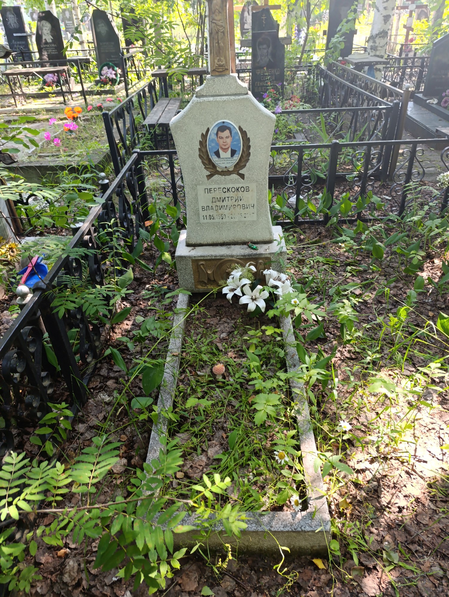 Перескоков Дмитрий Владимирович