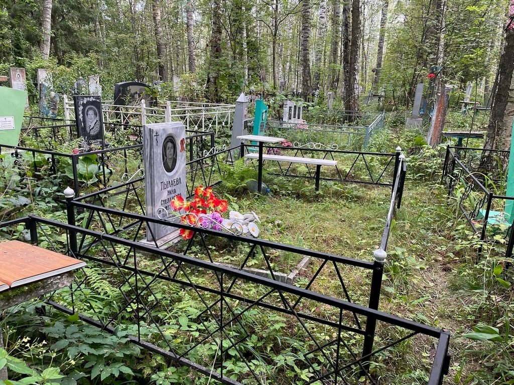 Пылаева Нина Степановна