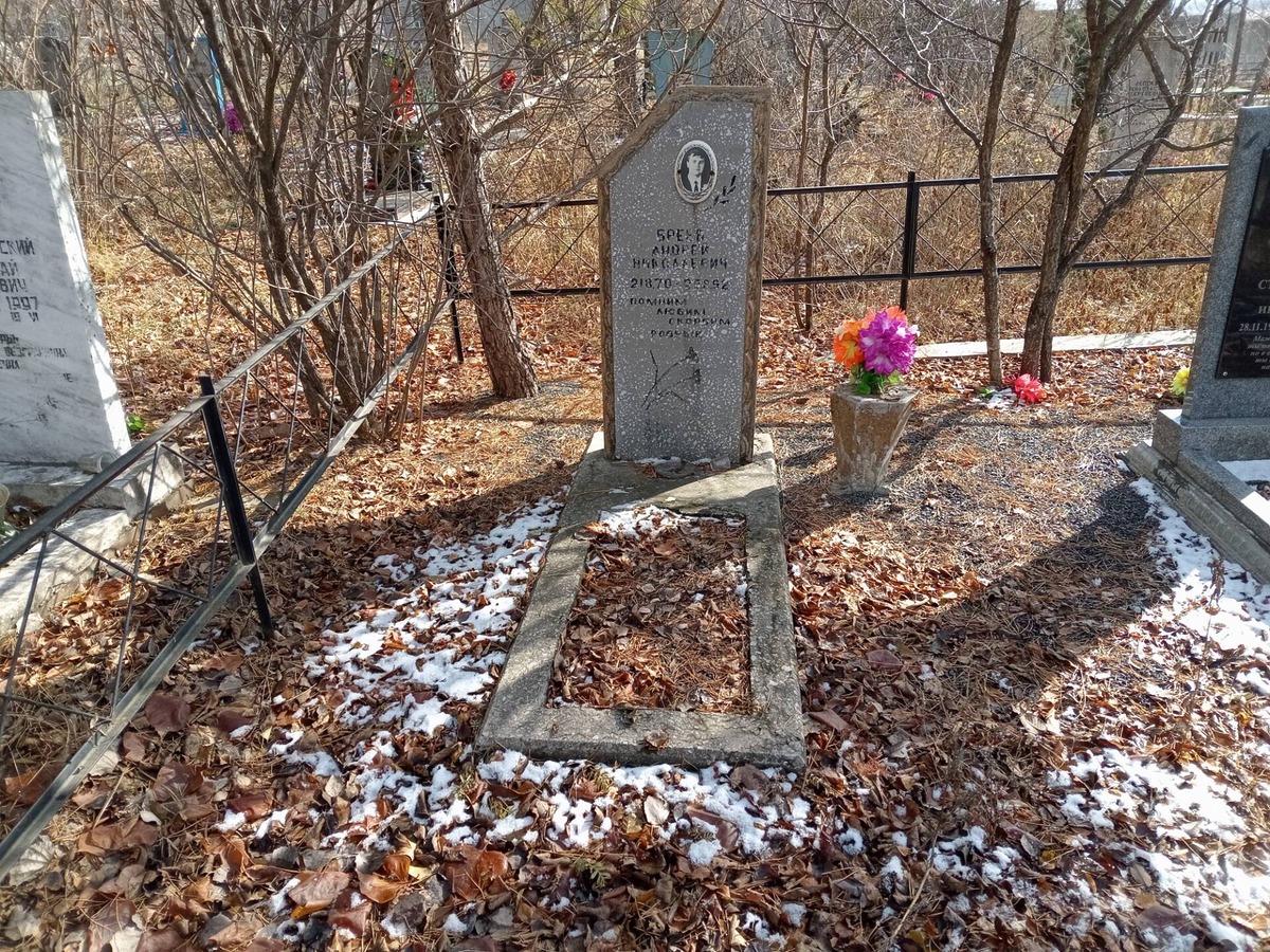 Бреев Андрей Николаевич